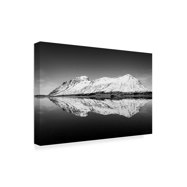 Michael Blanchette Photography 'Arrowhead ' Canvas Art,30x47